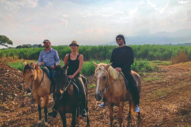 Cali: Horseback riding through beautiful landscapes and mountains - A Cali horse ride that actually feels like a getaway