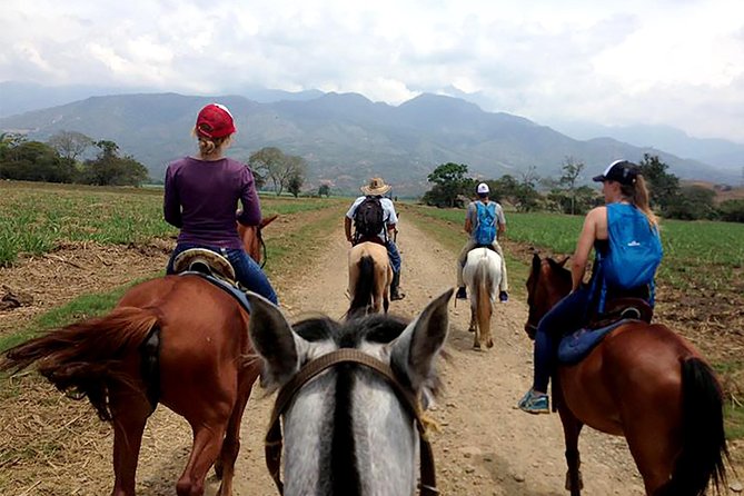 Cali: Horseback riding through beautiful landscapes and mountains - Instruction that keeps the ride from being stressful