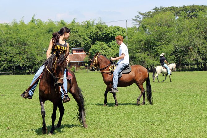 Cali: Horseback riding through beautiful landscapes and mountains - Price and value: what $123 gets you in Cali