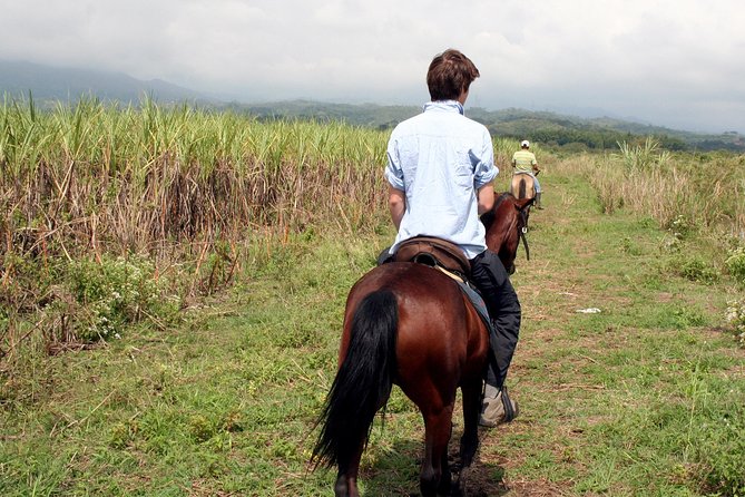 Cali: Horseback riding through beautiful landscapes and mountains - What to pack for a comfortable saddle day
