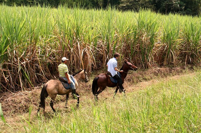 Cali: Horseback riding through beautiful landscapes and mountains - Small group size: why it matters when you’re on horseback