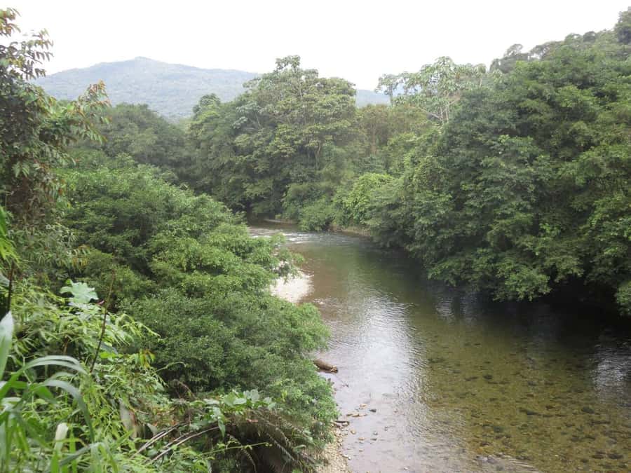 Cali: San Cipriano & River Adventure Day Tour - Lunch with locals, and why you should budget ahead