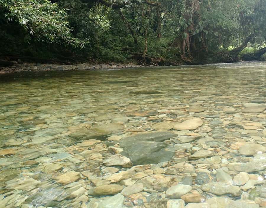 Cali: San Cipriano & River Adventure Day Tour - Price and value: what $123 gets you, and what it doesn’t
