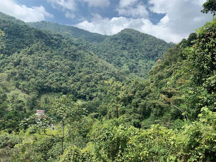 Cali: Tour of Waterfall in Pance River - Chorrera del Indio - Who this tour suits best, and who might want a different plan