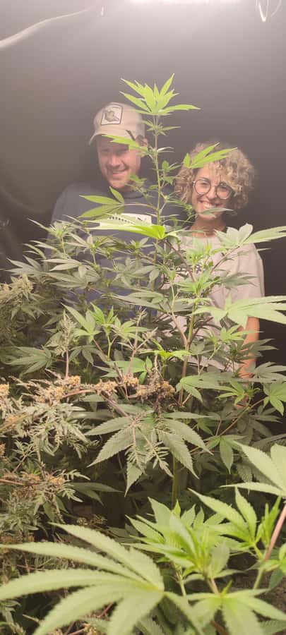 CANNABIS EXPERIENCE - Practical timing: how to plan your day