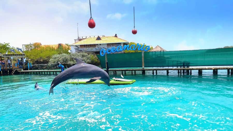 CARTAGENA: 4 islands by sport boat +oceanarium tickets - From Cartagena pickup to the first sea stop at Bocha Chica