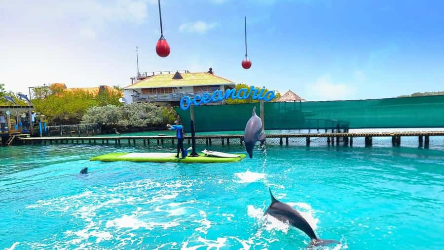 CARTAGENA: 4 islands by sport boat +oceanarium tickets - Speed boat reality check: intensity, sun, and comfort