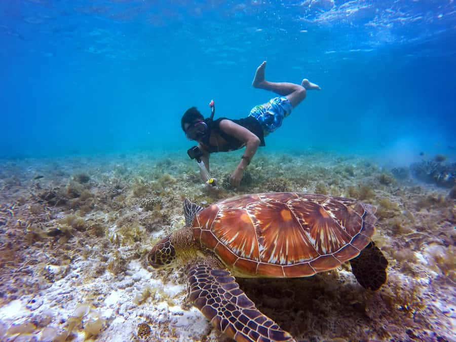 Cartagena: 5 Islands Boat Tour with Lunch, Snorkeling, & Bar - A full-day run from Bocagrande to 5 Rosario Islands