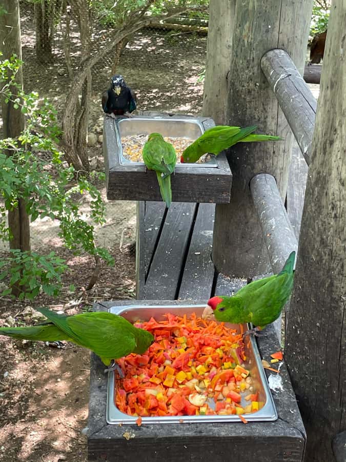 Cartagena: Aviary National Park Tour with Hotel Pickup - Key Points to Know Before You Go