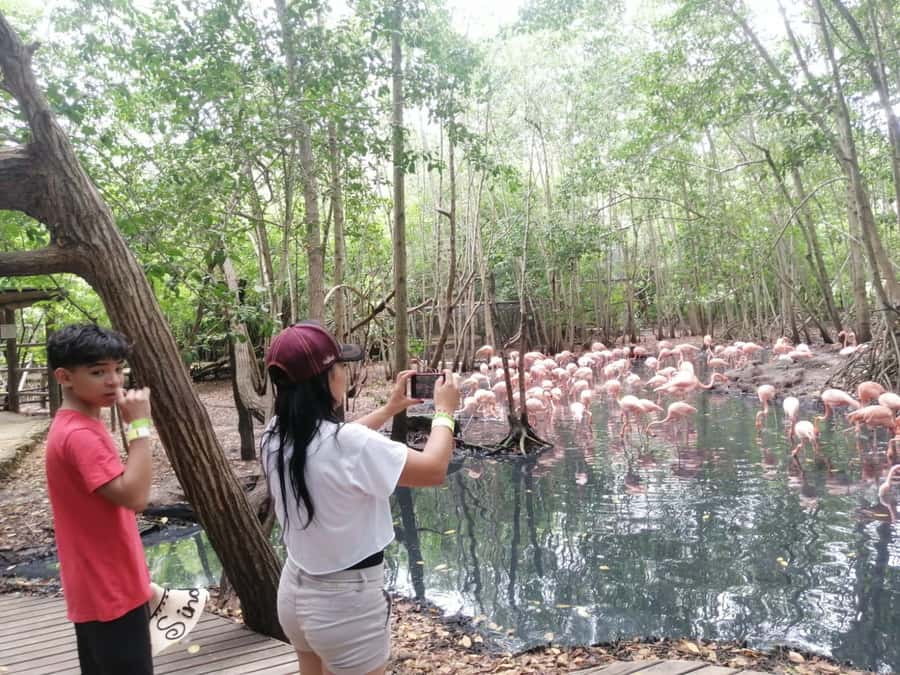 Cartagena: Aviary National Park Tour with Hotel Pickup - National Aviary of Colombia: what you’re paying for