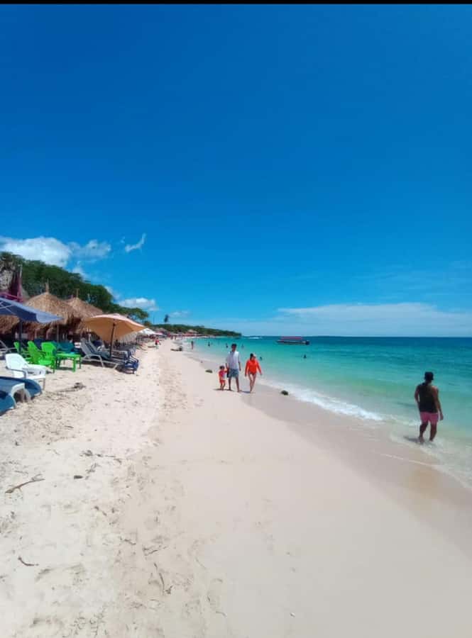 Cartagena: Barù Island Playa Blanca with Lunch - Key highlights you’ll actually care about