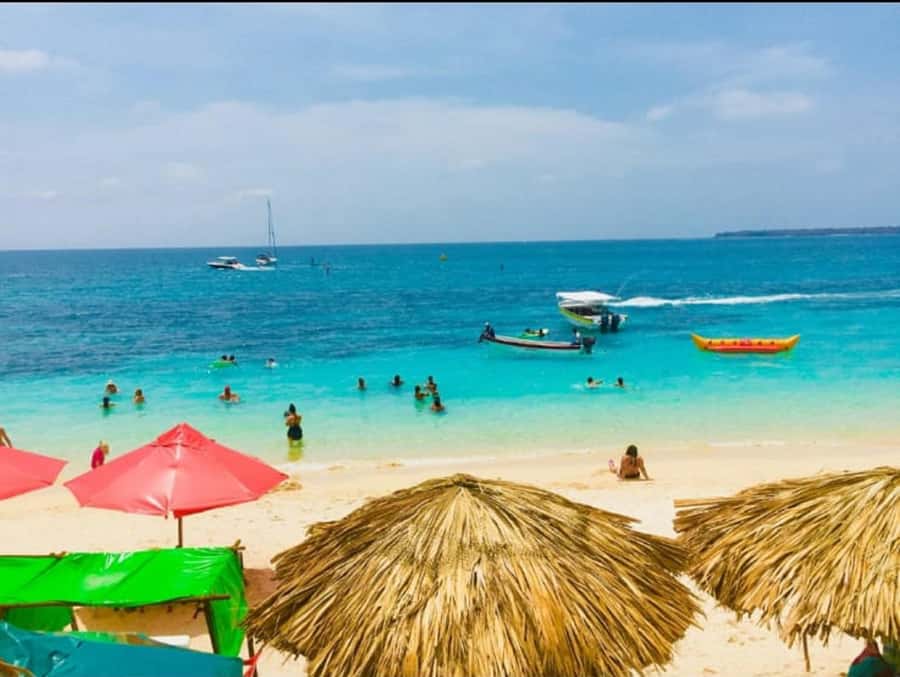 Cartagena: Barù Island Playa Blanca with Lunch - The lunch break: fresh fish, coconut rice, and what’s included