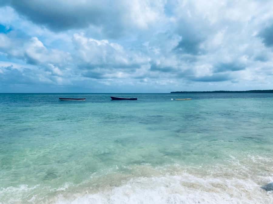 Cartagena: Baru Island & Playa Tranquila Day Trip with Lunch - Key points to know before you go