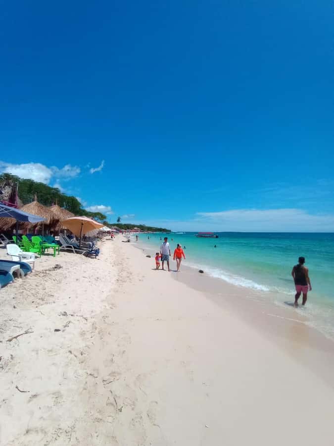 Cartagena: Baru Island & Playa Tranquila Day Trip with Lunch - Morning pickup in Cartagena, and why timing really matters