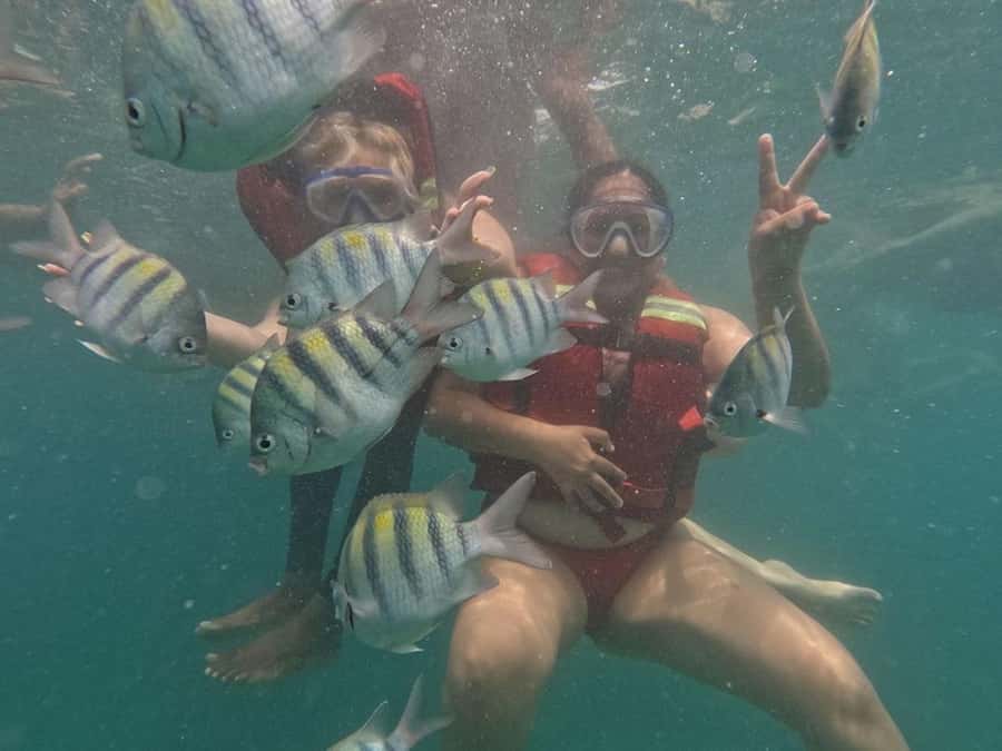 Cartagena: BARÚ Playa blanca with SNORKELING INCLUDED - Key things to know before you go