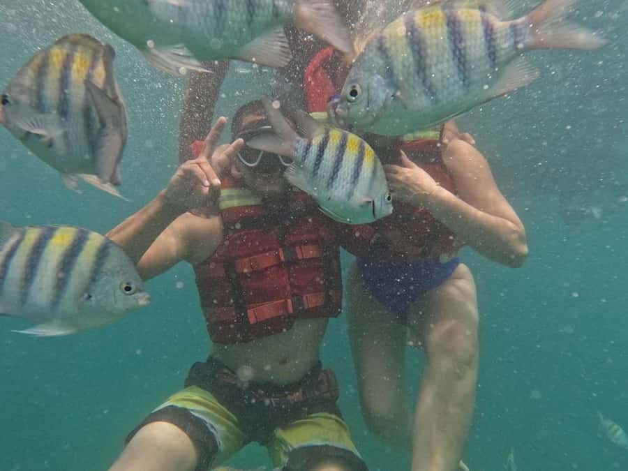 Cartagena: BARÚ Playa blanca with SNORKELING INCLUDED - Getting there: the bus ride you can’t skip