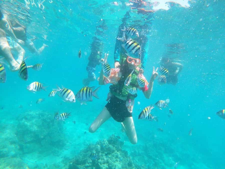 Cartagena: BARÚ Playa blanca with SNORKELING INCLUDED - Boat-to-water mindset: how to enjoy it without fighting the day