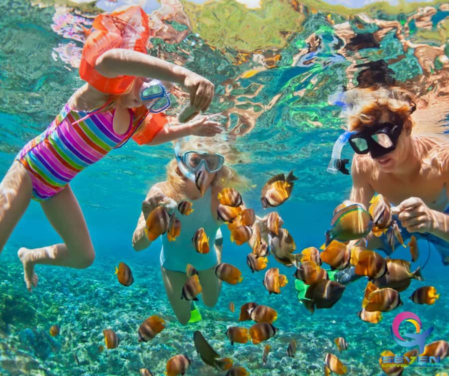 Cartagena: BARÚ Playa blanca with SNORKELING INCLUDED - Pickup and timing around Cartagena (and why the morning matters)