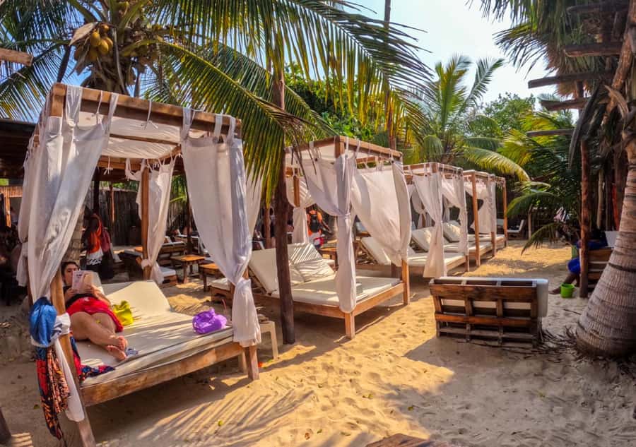 Cartagena: Barú Sunset Beach with Bioluminescent Plankton - What the guide does for the day