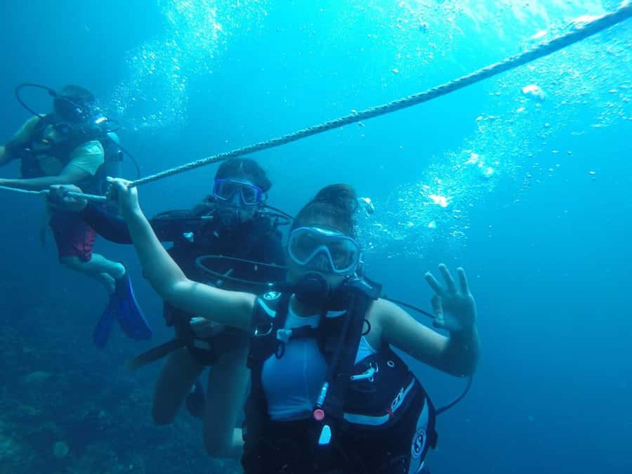 Cartagena: Basic Diving for beginners in Rosario Islands - Key Points at a Glance