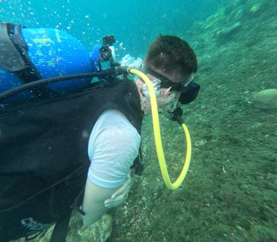 Cartagena: Basic Diving for beginners in Rosario Islands - A Beginner-First Scuba Plan on the Rosario Islands