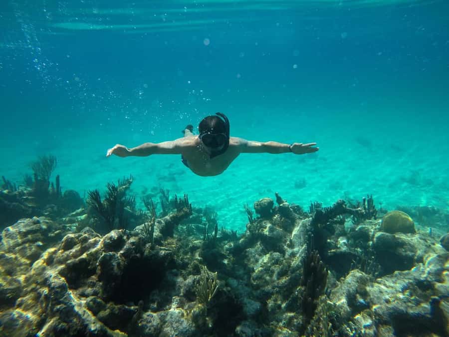 Cartagena: Basic Diving for beginners in Rosario Islands - The Beach Walk-In at Playa Blanca