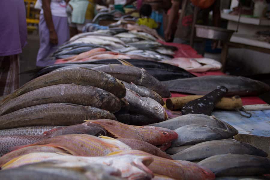 Cartagena Bazurto Market: Authentic Food & Culture Tour - Guides, language, and the small group advantage