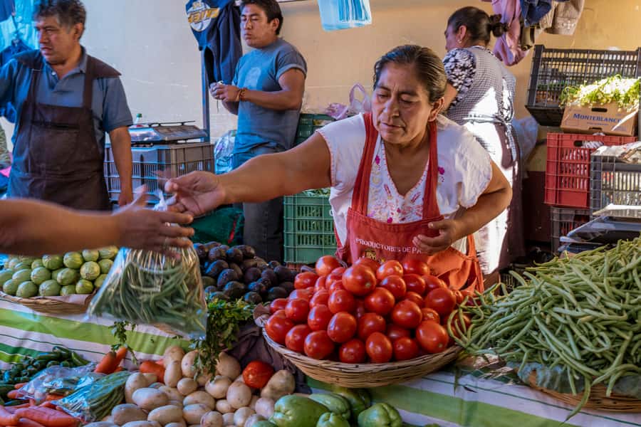 Cartagena: Bazurto Market & La Popa Convent Tour with Lunch - La Popa and Bazurto in one 4-hour loop