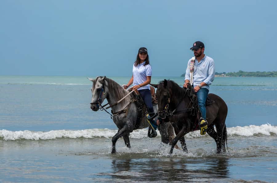 Cartagena: Beach Horse Ride and Colombian Equestrian Culture - Key Things That Make This Ride Worth Your Time