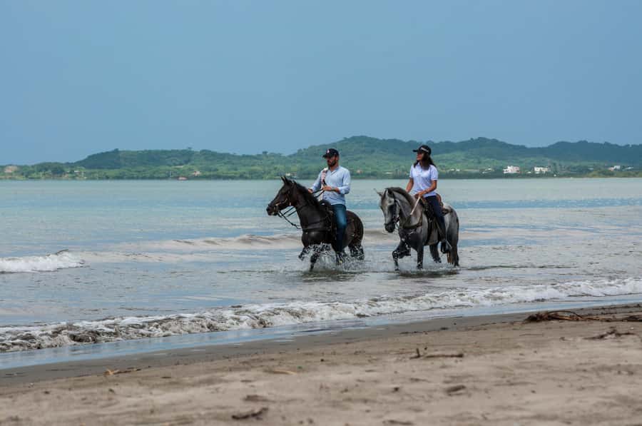 Cartagena: Beach Horse Ride and Colombian Equestrian Culture - Getting Paired With the Right Horse for Your Level