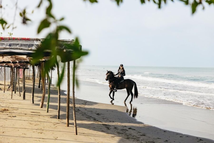 Cartagena: Beach Horse Ride and Colombian Equestrian Culture - The Beach Ride: Ocean Sounds, Salt Air, and Real Cartagena Views