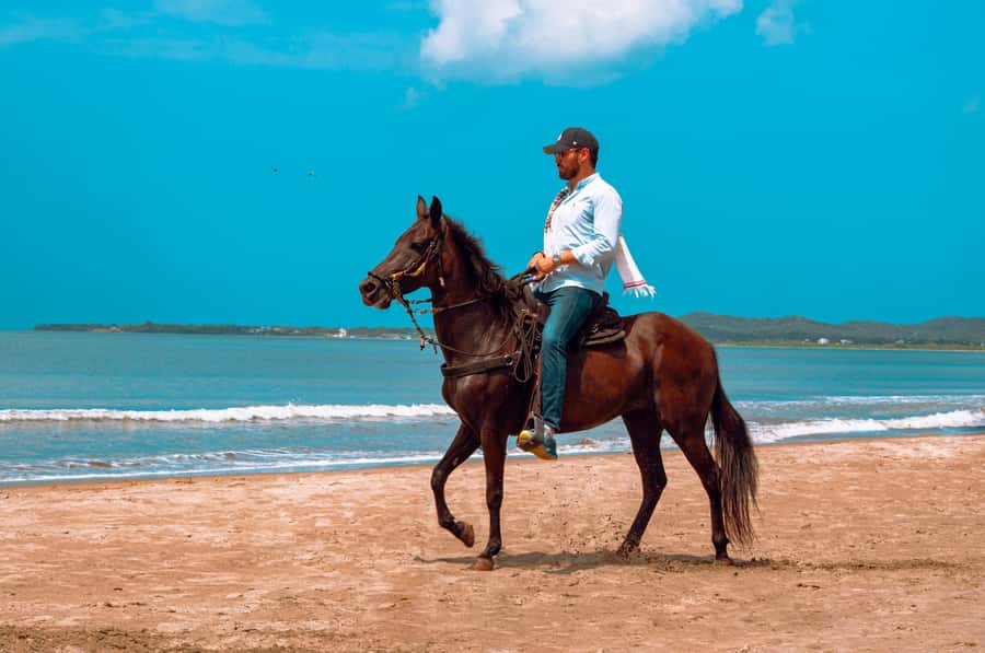 Cartagena: Beach Horse Ride and Colombian Equestrian Culture - Ranch Care and Horse Demonstrations: Why Watching Matters