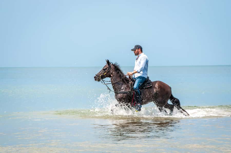 Cartagena: Beach Horse Ride and Colombian Equestrian Culture - Photos, Drinks, and the Restaurant Stop Afterward