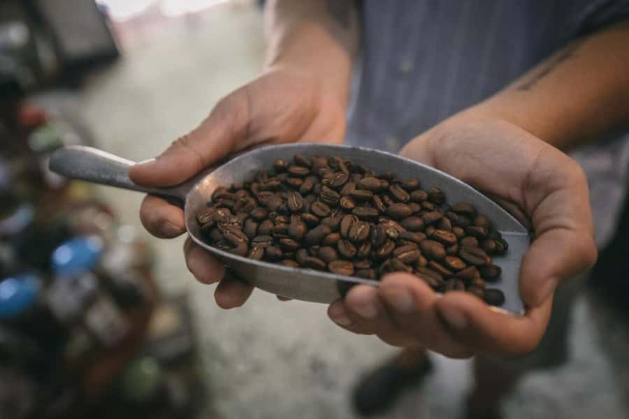 Cartagena Coffee Masterclass: Artisanal Roasting and Brewing - Should you book the Cartagena Coffee Masterclass?