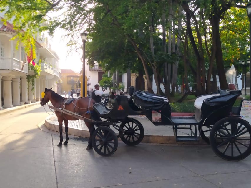 Cartagena: COLLONIAL HORSE DRAWN CARRIAGE by THE OLD CITY - Small practical tips so your ride goes smoothly