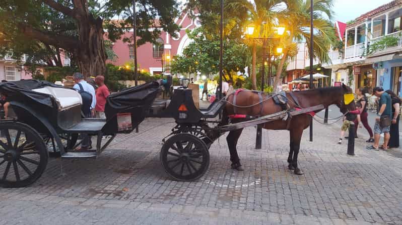 Cartagena: COLLONIAL HORSE DRAWN CARRIAGE by THE OLD CITY - Meeting point in the Old City, near the Naval Museum