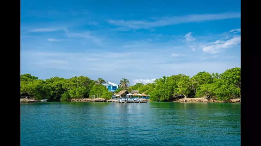 Cartagena: Coralina Island Day Trip with Lunch - Snorkeling and marine life: what the free masks really do for you