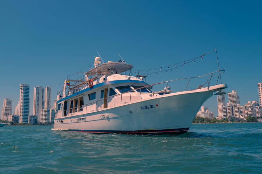 Cartagena: Cruise by the Bay with Dinner and Wine - Wine, Music, and On-Board Comfort (Wi-Fi, Restrooms, Bar)
