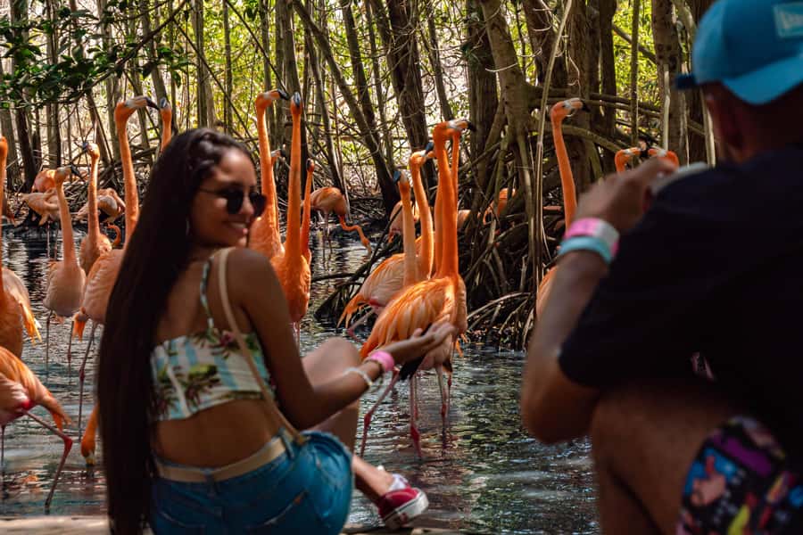 Cartagena: Day Trip Aviary and enjoy Playa Blanca by bus - Key points to know before you go