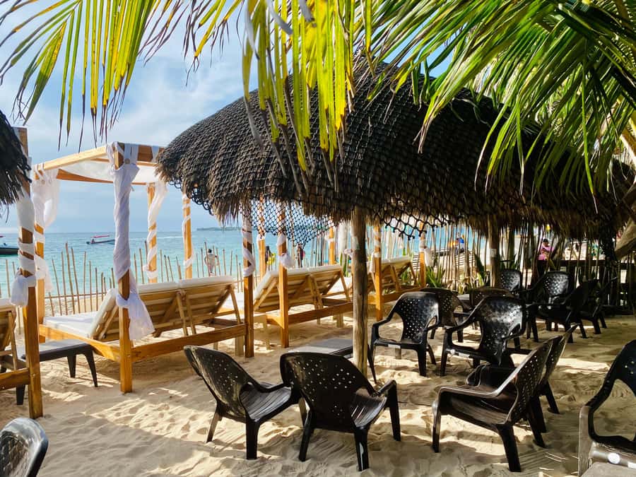 Cartagena: Day Trip Aviary and enjoy Playa Blanca by bus - Playa Blanca in Barú: what your beach time will feel like