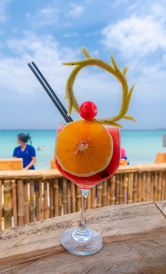 Cartagena: Day Trip Aviary and enjoy Playa Blanca by bus - How the day runs: Cartagena pick-up, bus ride, and timing that matters