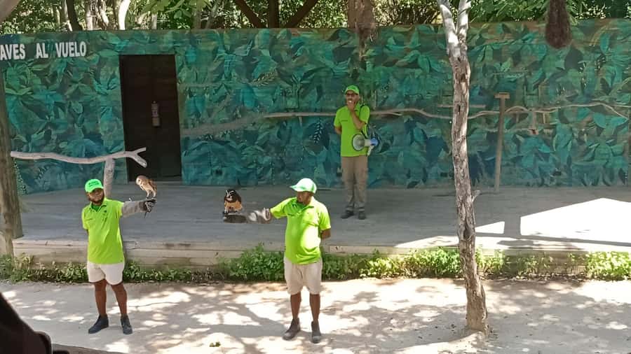 Cartagena: Daytour Aviary and Playa blanca, Barú by bus! - Key Highlights You Actually Feel