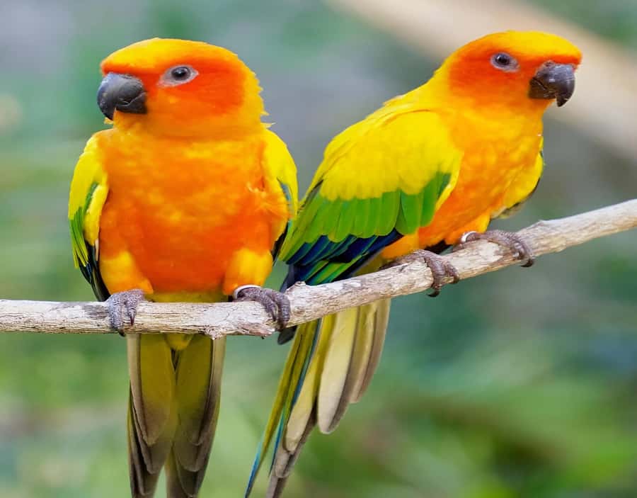 Cartagena: Daytour Aviary and Playa blanca, Barú by bus! - Should You Book This Cartagena to Aviary and Playa Blanca Day Trip?