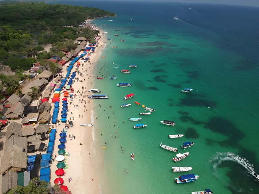 Cartagena: Daytour Aviary and Playa blanca, Barú by bus! - 7 Hours Total, and Why That Timing Works for Barú