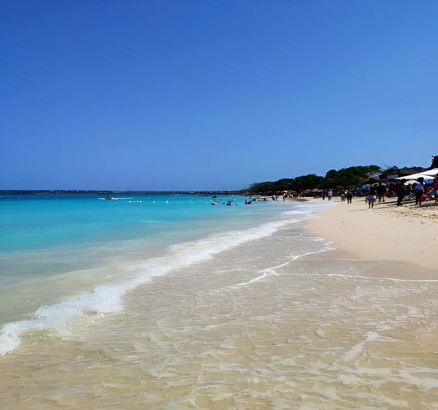 Cartagena: Daytour Aviary and Playa blanca, Barú by bus! - Playa Blanca, Barú: Beach Time Until 3pm, Plus Optional Loungers