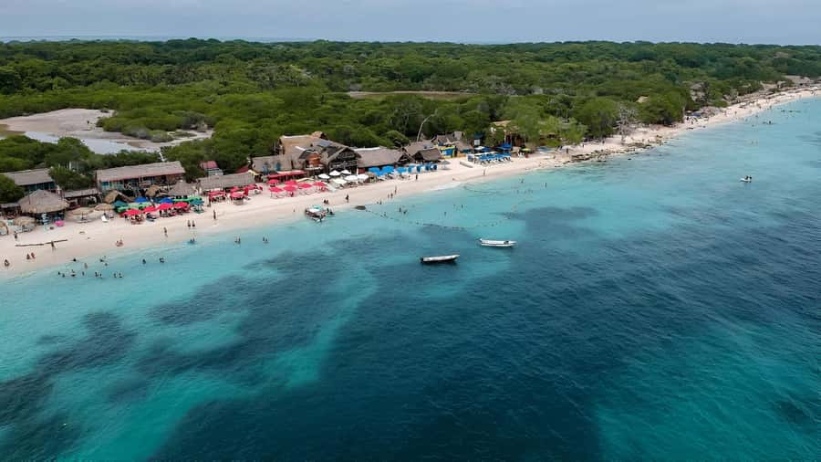 Cartagena: Daytour Aviary and Playa blanca, Barú by bus! - The Review Reality Check: What to Watch For Before You Pay