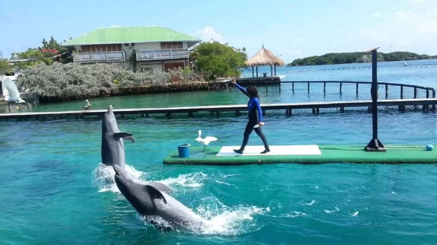 Cartagena de Indias: Pasadia 5 Islas del rosario and Baru boat trip - Isla Grande and the long travel stretches at sea