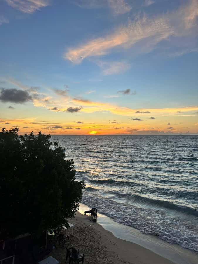 Cartagena de Indias: Pasadia 5 Islas del rosario and Baru boat trip - Cholón: clear water, seafood moments, and free time