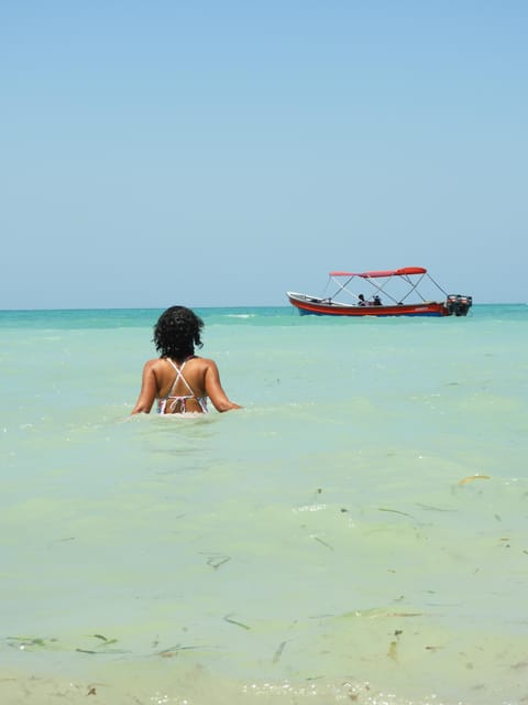 Cartagena: Ecoplan on Barú, Aviary and Oceanarium in one day - Rosario Islands Stop: Short Visit, Real Water Time