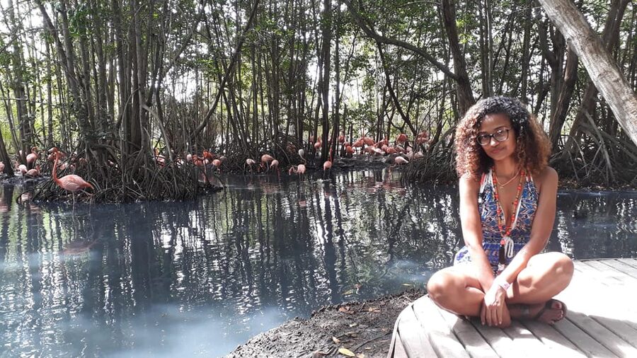 Cartagena: Ecoplan on Barú, Aviary and Oceanarium in one day - Lunch and Beach Etiquette: What to Expect on a Public Island